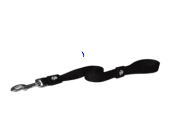 Doco Signature Easy-Snap Dog Leash (Color: Black, size: large)