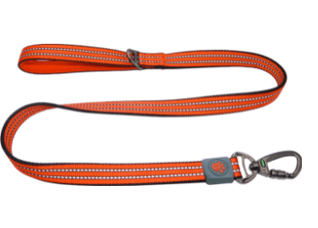 Doco Vario Dog Leash with Reflective Thread (Color: Safety Orange, size: small)