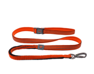 Doco Vario Easy Snap Bungee Dog Leash (Color: Safety Orange, size: small)