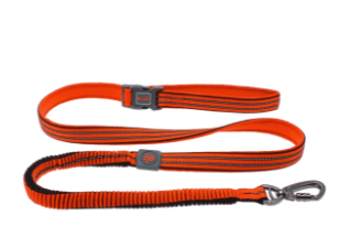 Doco Vario Easy Snap Bungee Dog Leash (Color: Safety Orange, size: medium)