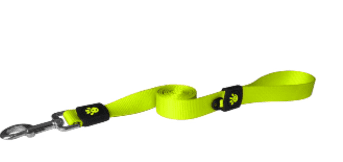 Doco Signature Nylon Dog Leash (Color: Safety Lime, size: XS)