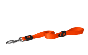 Doco Signature Nylon Dog Leash (Color: Safety Orange, size: XS)