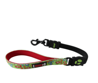 Doco Loco Shock Absorbing Bungee Dog Leash (Color: Green Monster, size: large)