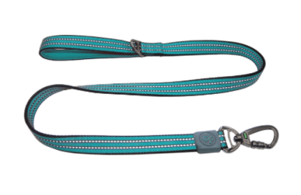 Doco Vario Dog Leash with Reflective Thread (Color: Turquoise, size: small)