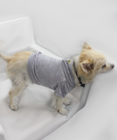 Doggy Hoodie (Color: Asphalt, size: XL)