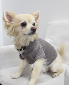 Doggy Hoodie (Color: Coco, size: large)