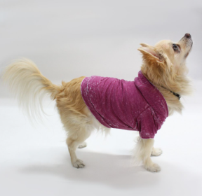 Doggy Hoodie (Color: magenta, size: XS)