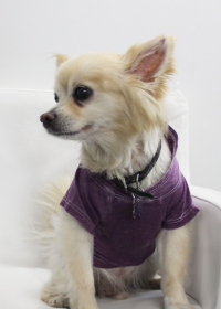 Doggy Hoodie (Color: Plum, size: large)