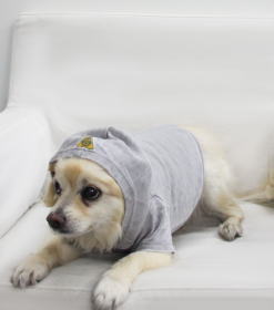 Doggy Hoodie French Terry (Color: Asphalt, size: medium)