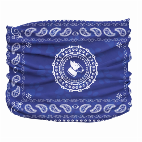 Bandana Pup Scruff (Color: Blue, size: XS)