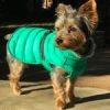 Alpine Extreme Weather Puffer Dog Coat