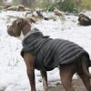 Alpine Extreme Weather Puffer Dog Coat