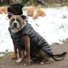 Alpine Extreme Weather Puffer Dog Coat