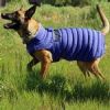 Alpine Extreme Weather Puffer Dog Coat