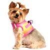 American River Choke Free Dog Harness Ombre Collection