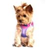 American River Choke Free Dog Harness Ombre Collection