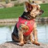 American River Solid Ultra Choke Free Dog Harness