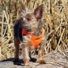 American River Solid Ultra Choke Free Dog Harness