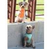 American River Solid Ultra Choke Free Dog Harness