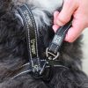 NANDOG Anti-Push Sport Dog Leash