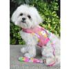 Cool Mesh Dog Harness with Leash