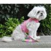 Cool Mesh Dog Harness with Leash