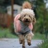 Highline Fleece Dog Coat