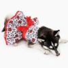 Holiday Dog Harness Dress