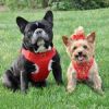 Wrap and Snap Choke Free Dog Harness by Doggie Design