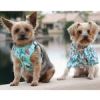 Wrap and Snap Choke Free Dog Harness by Doggie Design